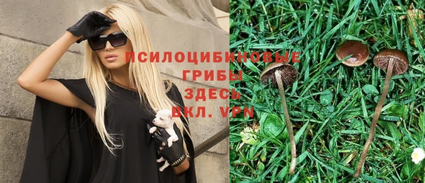 бутират Белокуриха