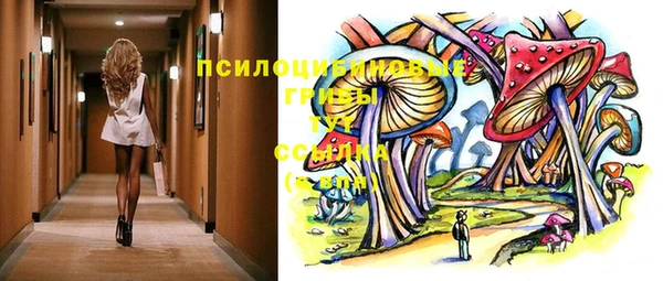 дживик Саяногорск