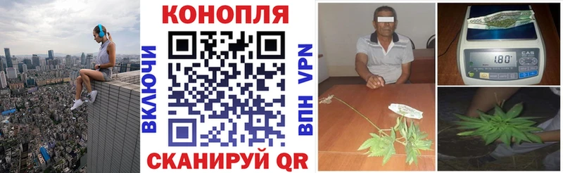 Каннабис планчик  Кузнецк 